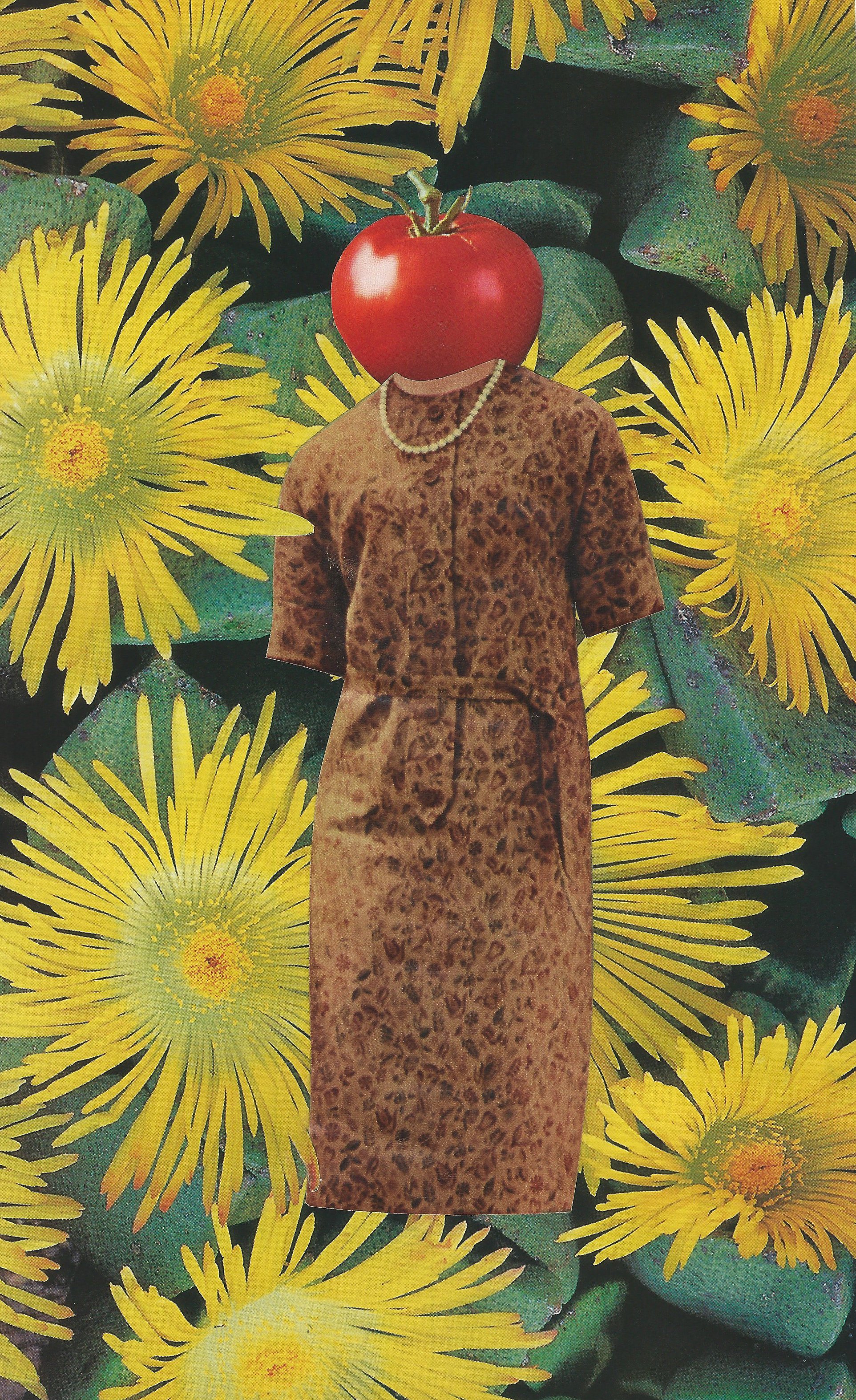 TomatoMom.jpg