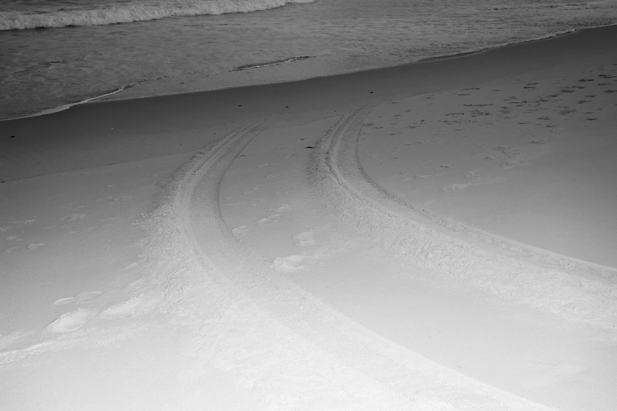 _DSF4476.jpg