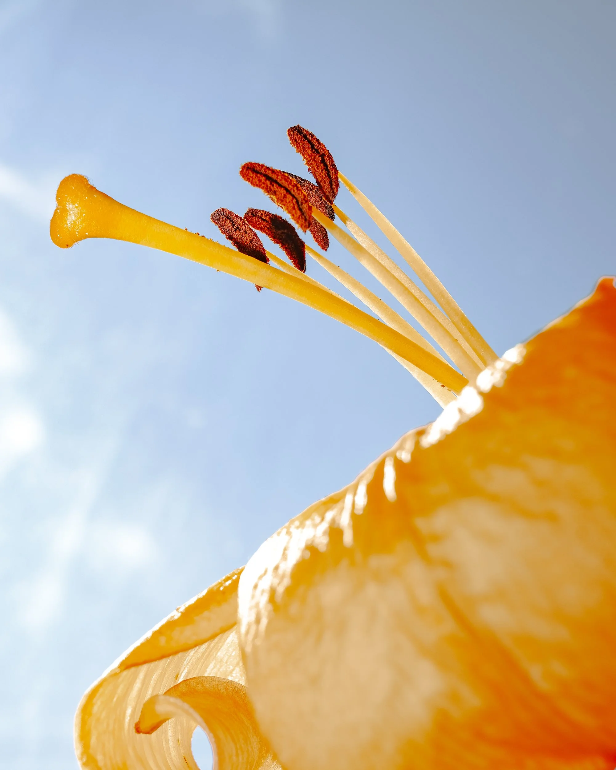 Edmonds Photo — HSC Mayor Xmas Party 2025 -54.jpg