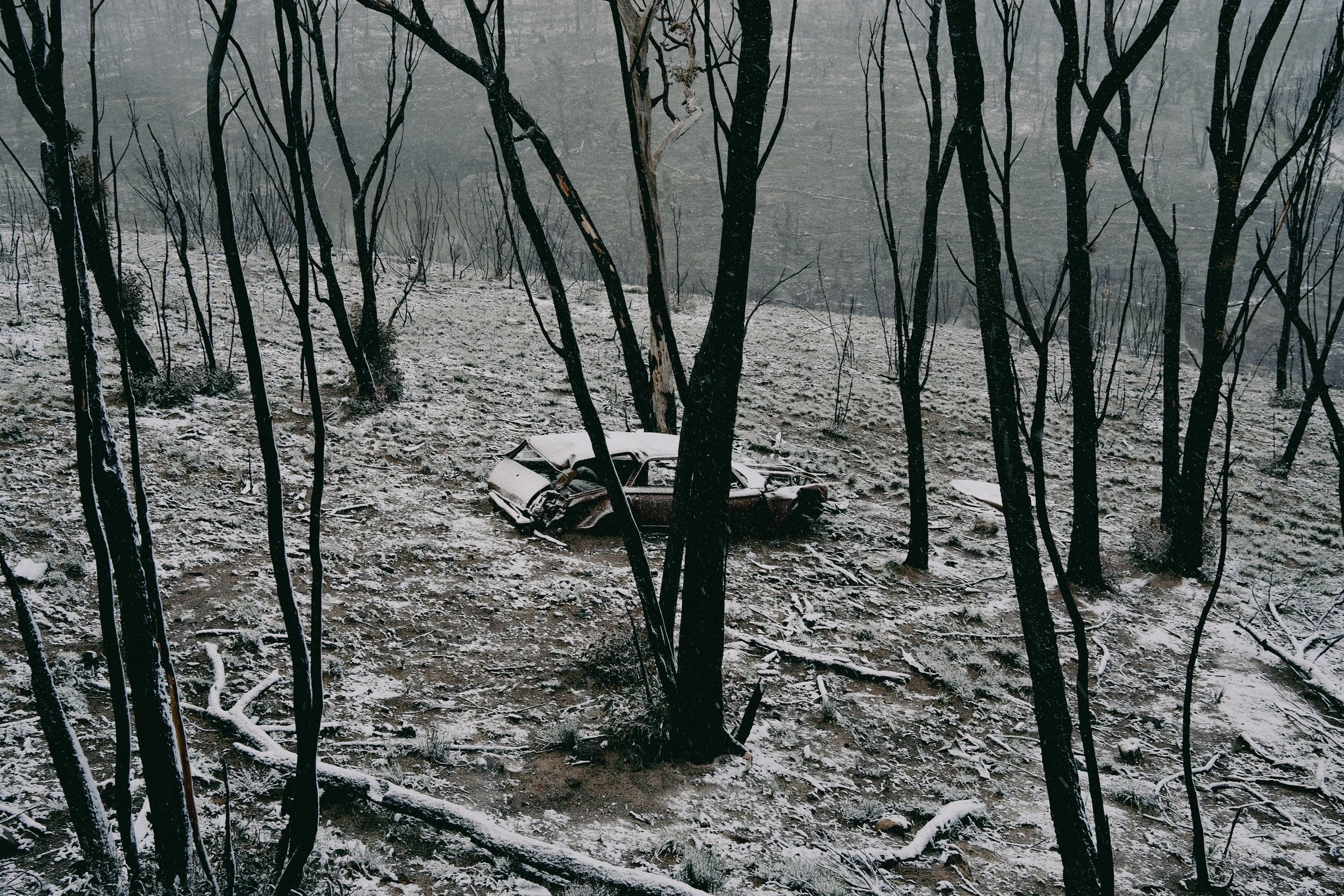 EDMONDS Portfolio 229.jpg