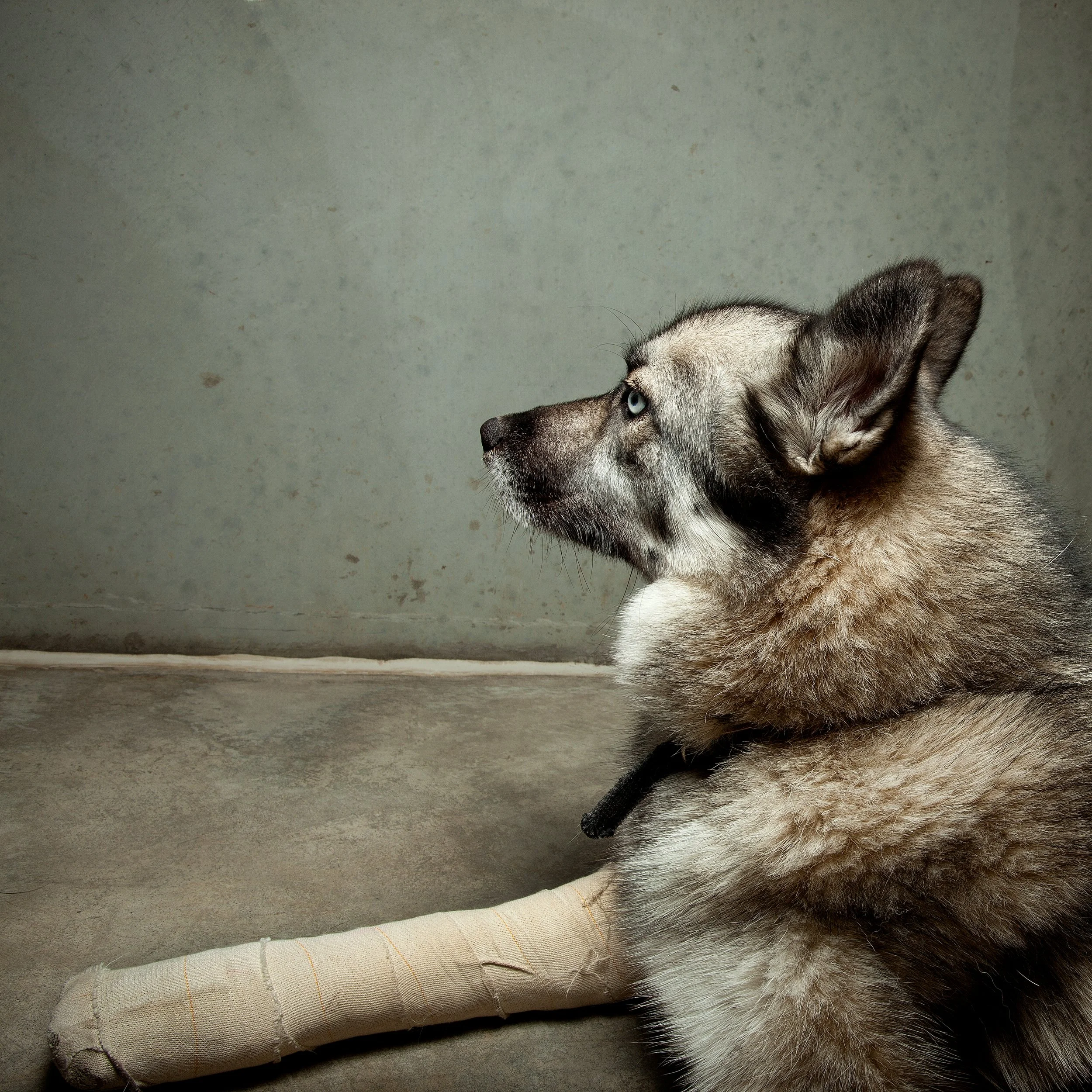 Edmonds Photo — HSC Mayor Xmas Party 2025 -48.jpg