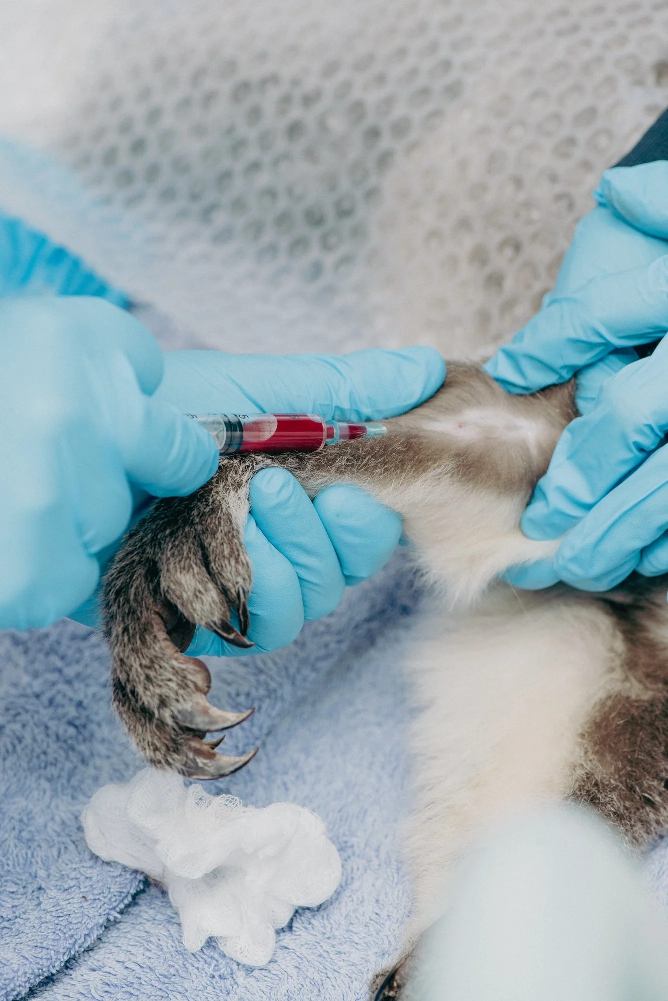 EDMONDS Portfolio 135.jpg