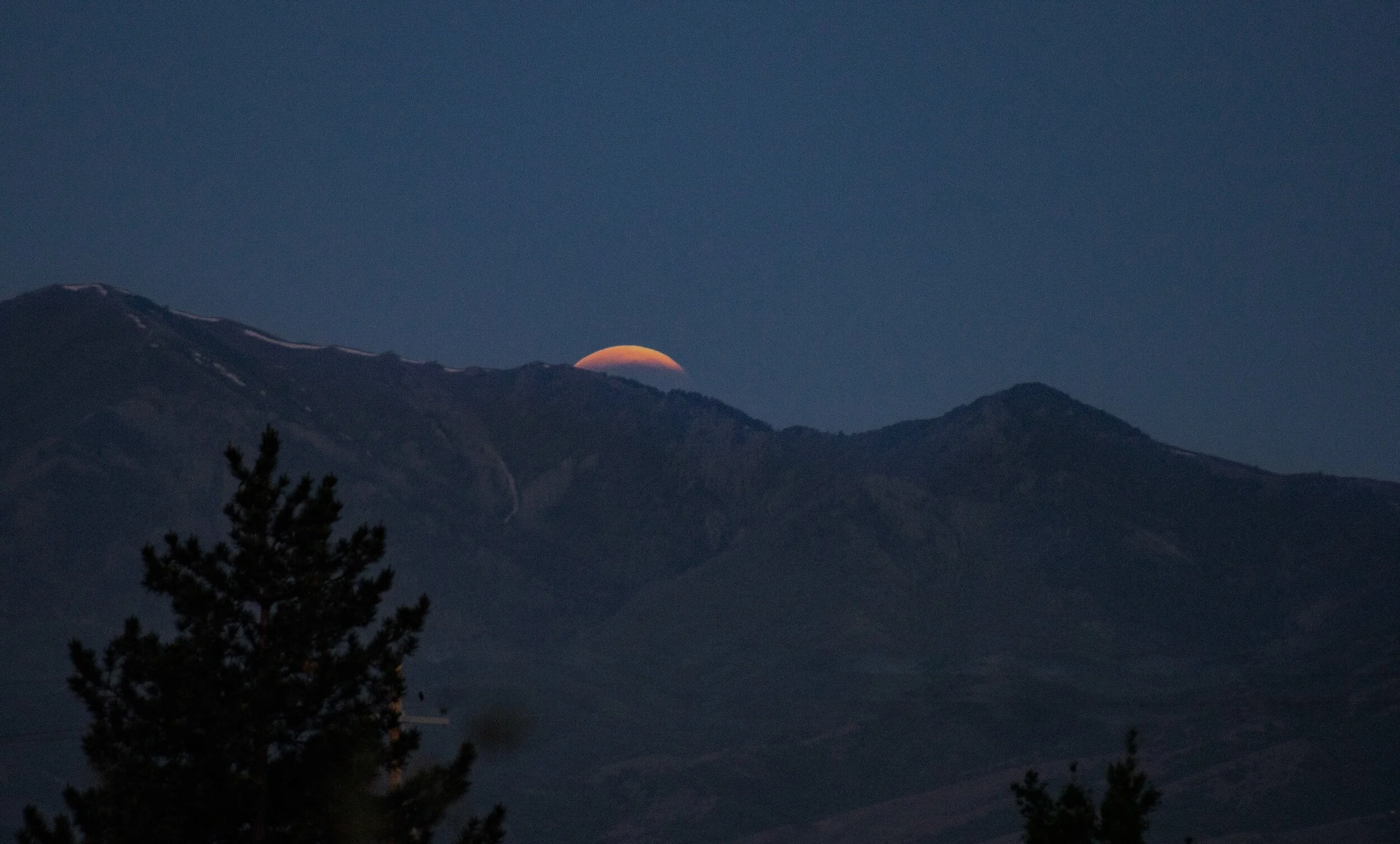 The Future of Artificial Intelligence (AI) with Google's Gemini