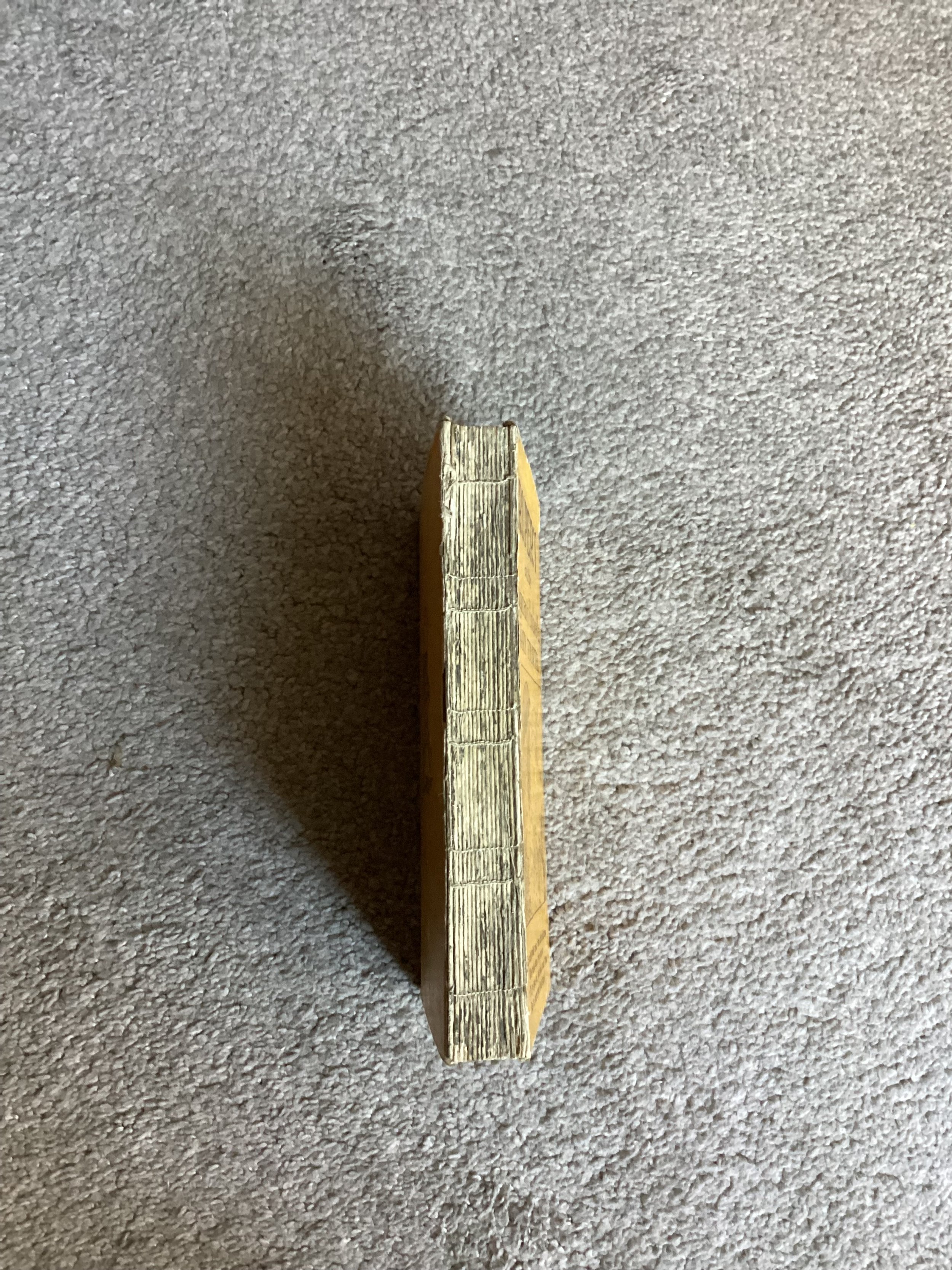 IMG_1117.jpeg