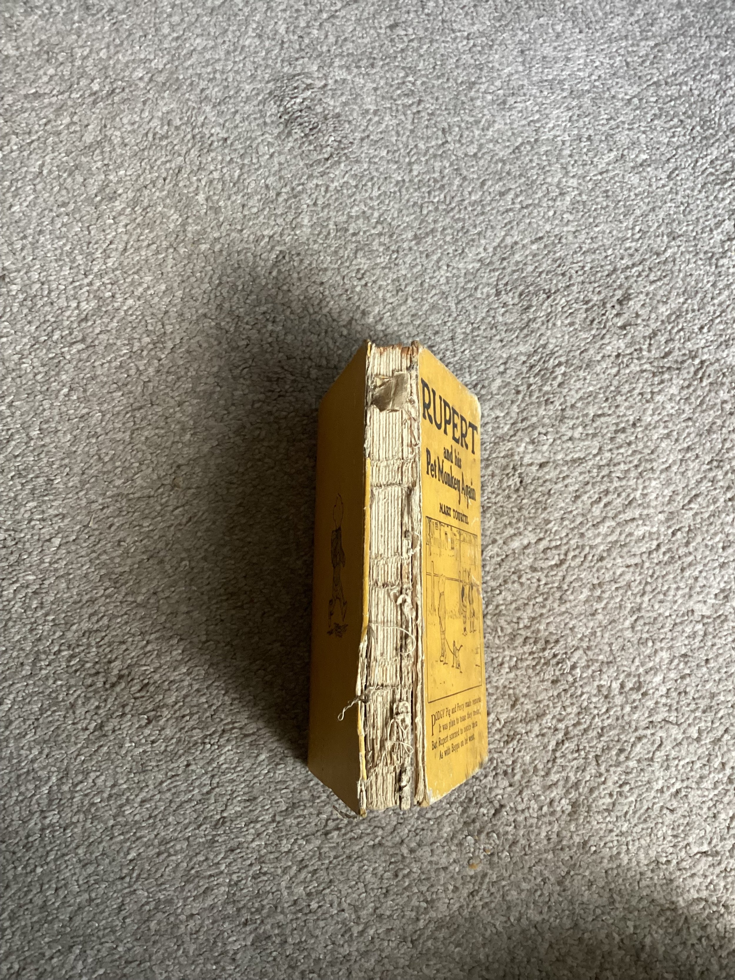 IMG_1093.jpeg