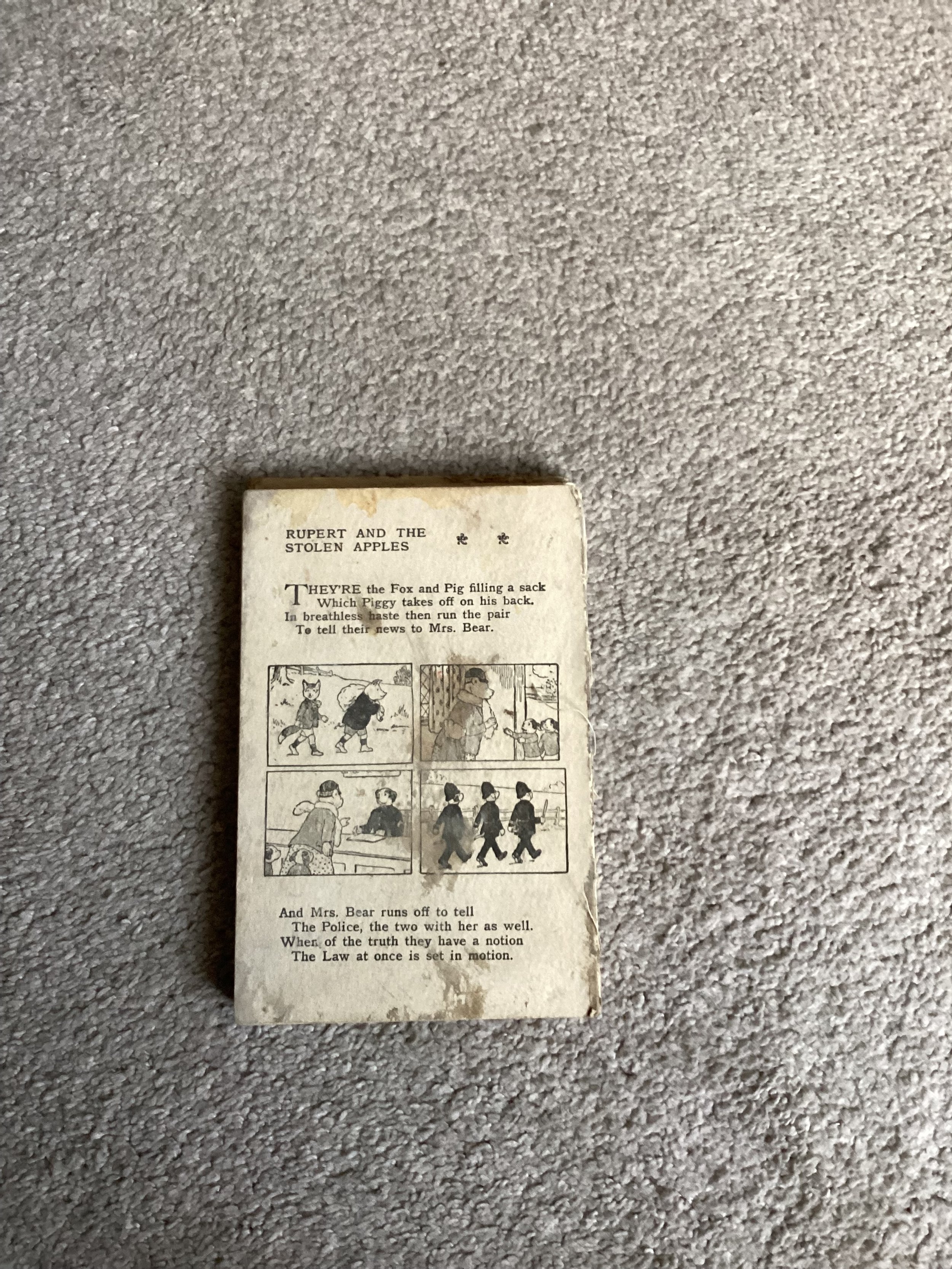 IMG_1069.jpeg