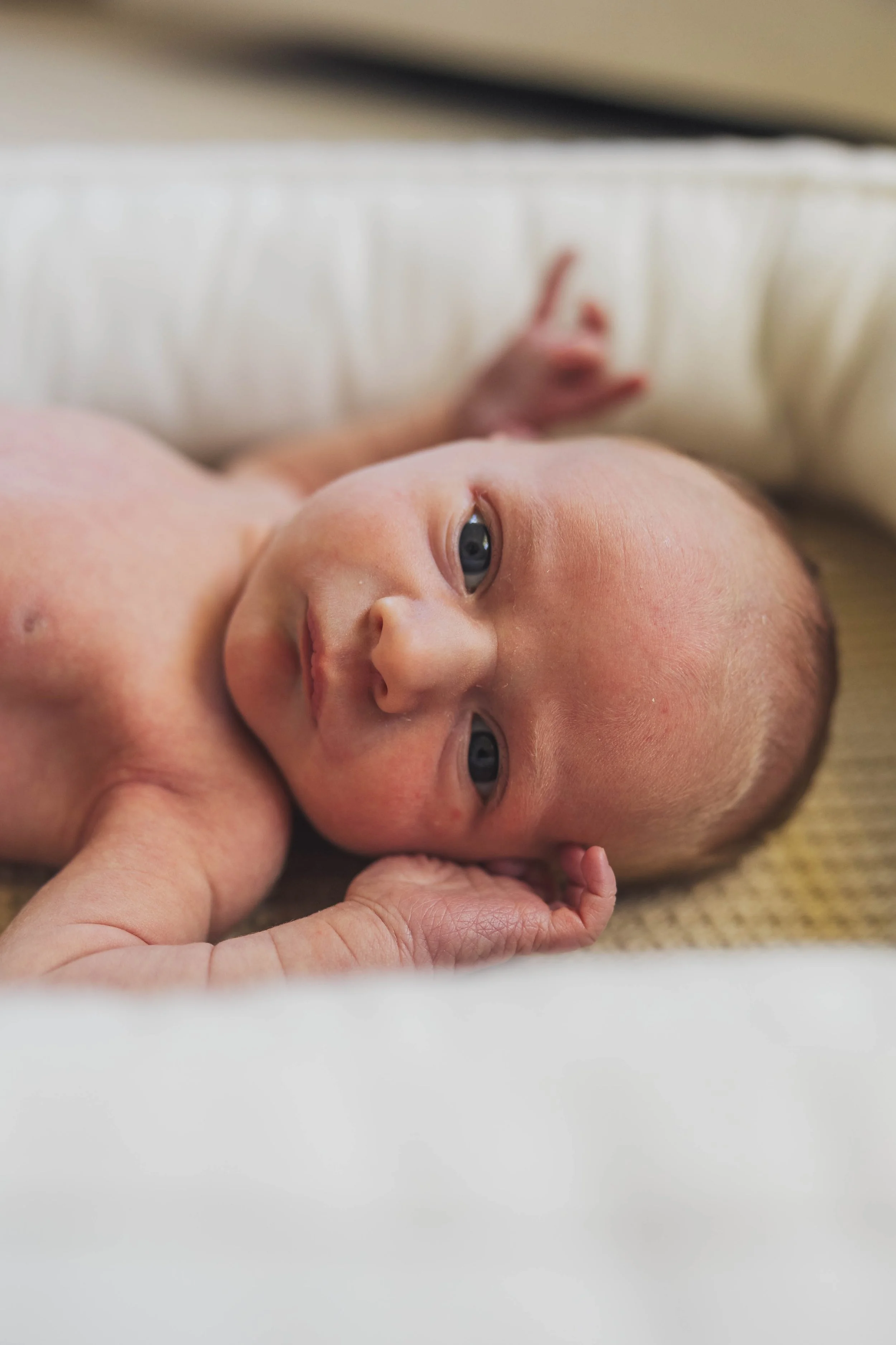 SunnyGajadharPhotography-Leo-LR-0504.jpg