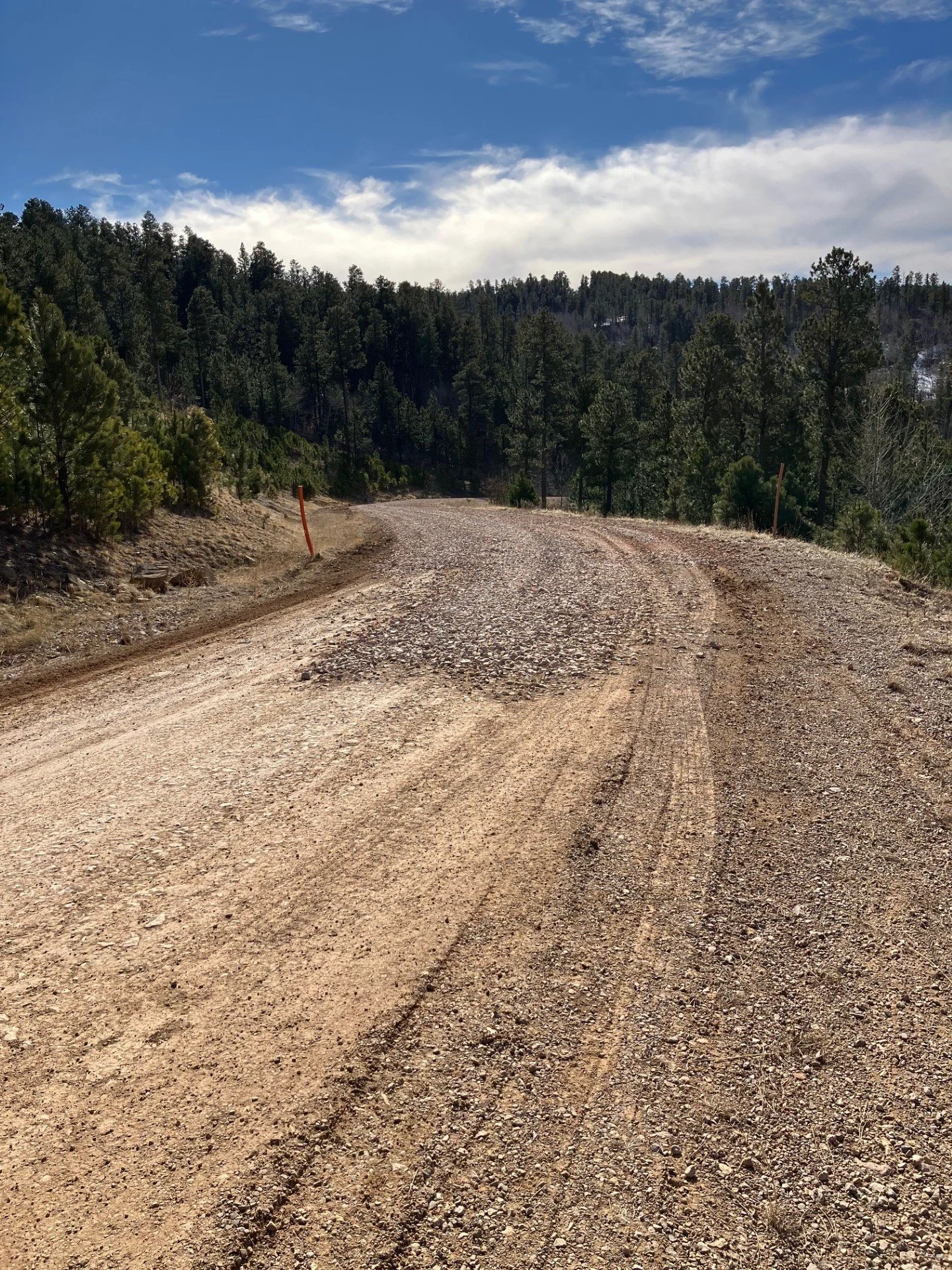 First steps to stabilize upper Dynasty Rd. 