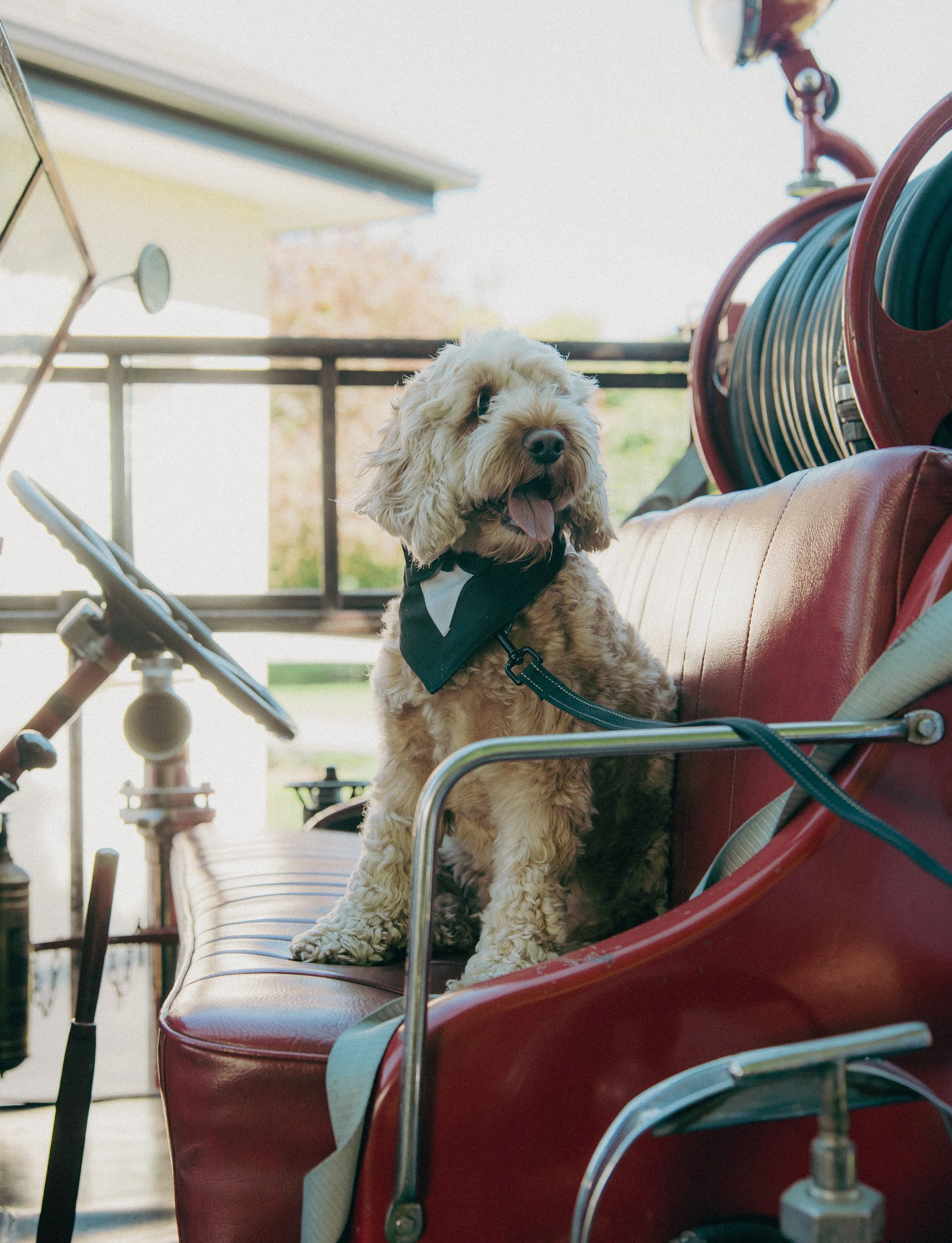 Amy & dan First Look_By Johnny Hendrikus_2026-243.jpg