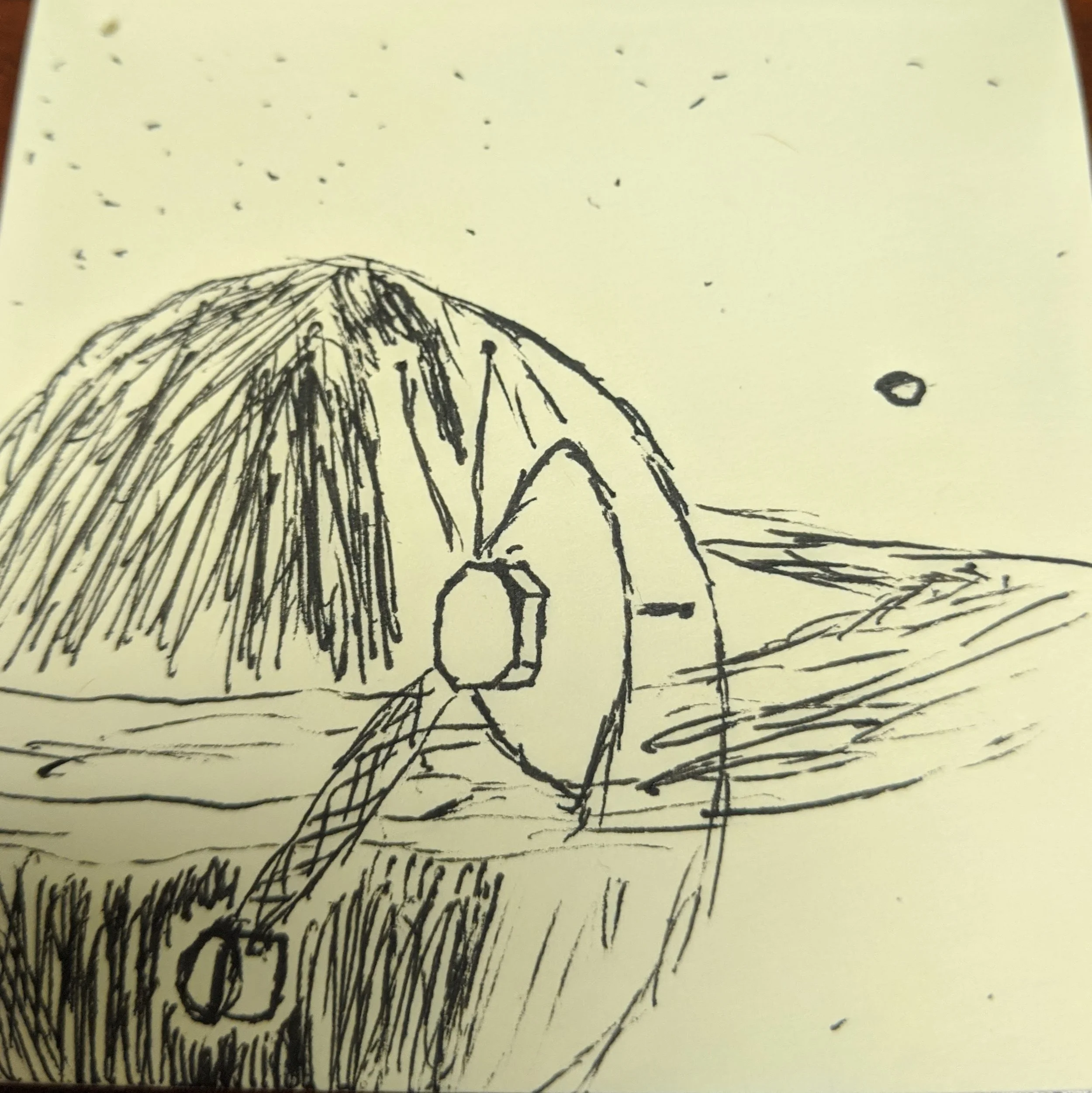 Voyager two is in Deep Space - The space between the stars!