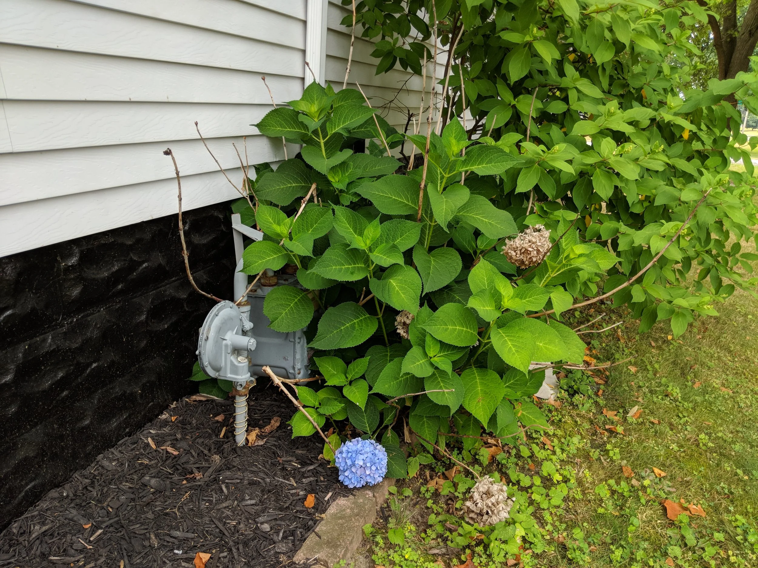 MVIMG_20180724_121932.jpg