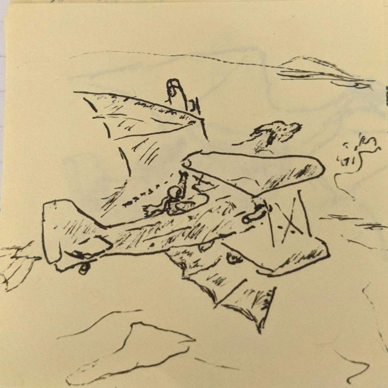 Flying with Dragons