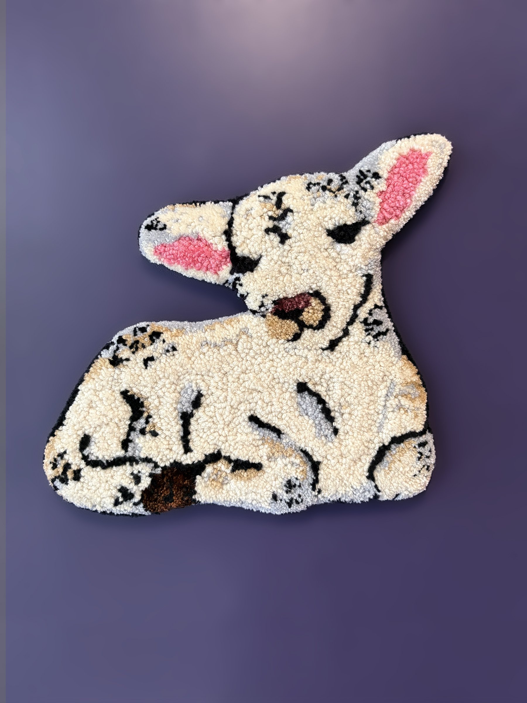 lamb sitting 2