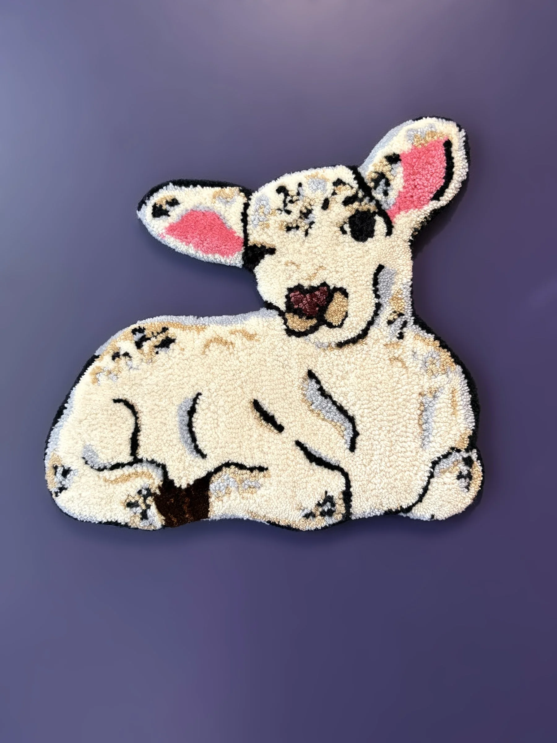 lamb sitting 1