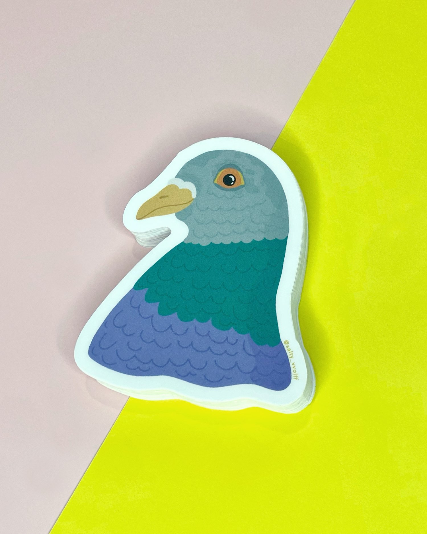 NYC - PIGEON.jpg
