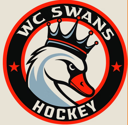 Swans Big Day Camp