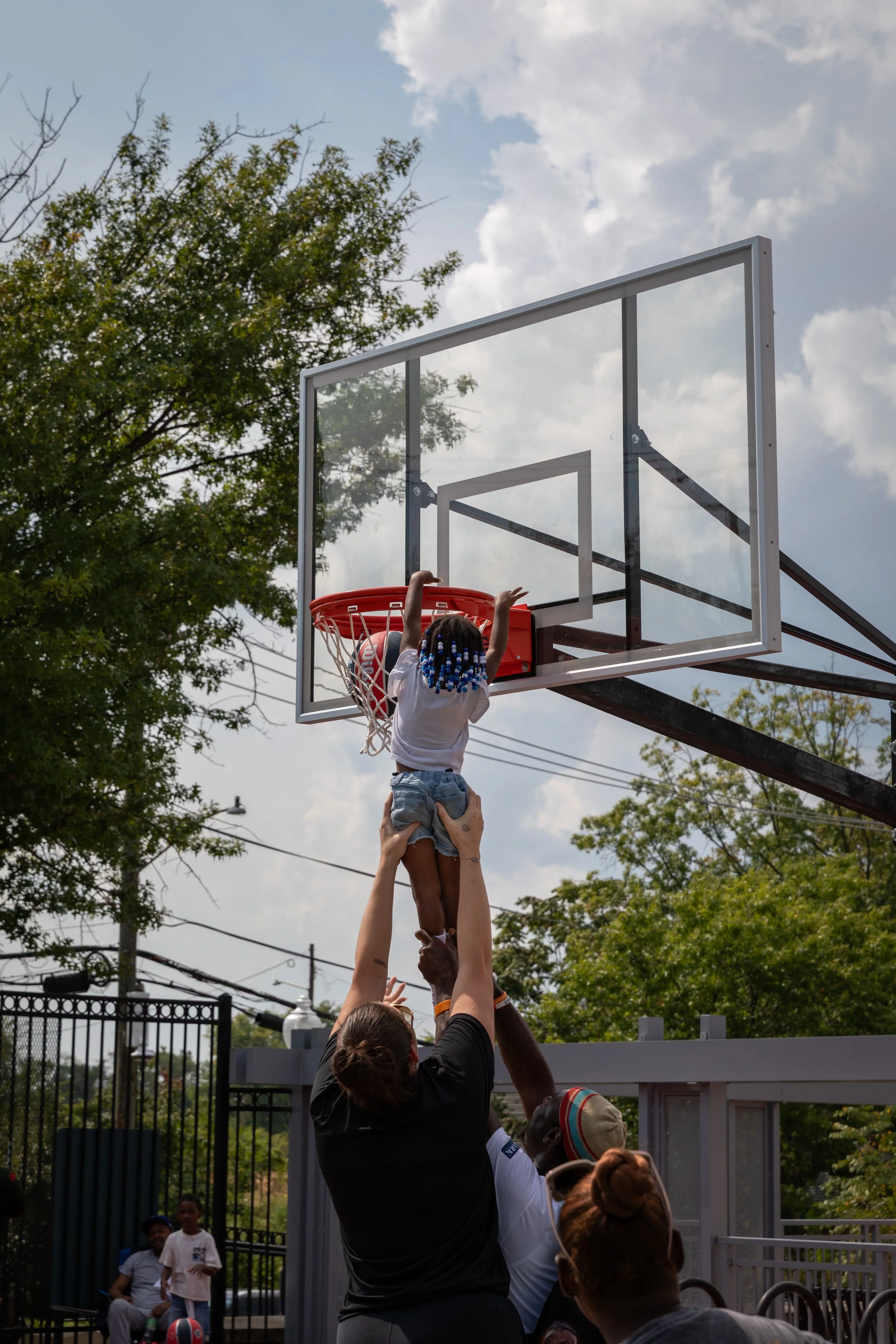 Lift Assist-website.jpg