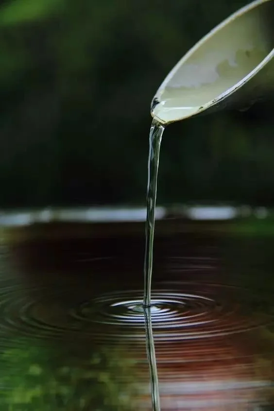 「道の修養」レイキヒーリングを入り口に、日本古来の「道」の精神性を探究する小さな学舎