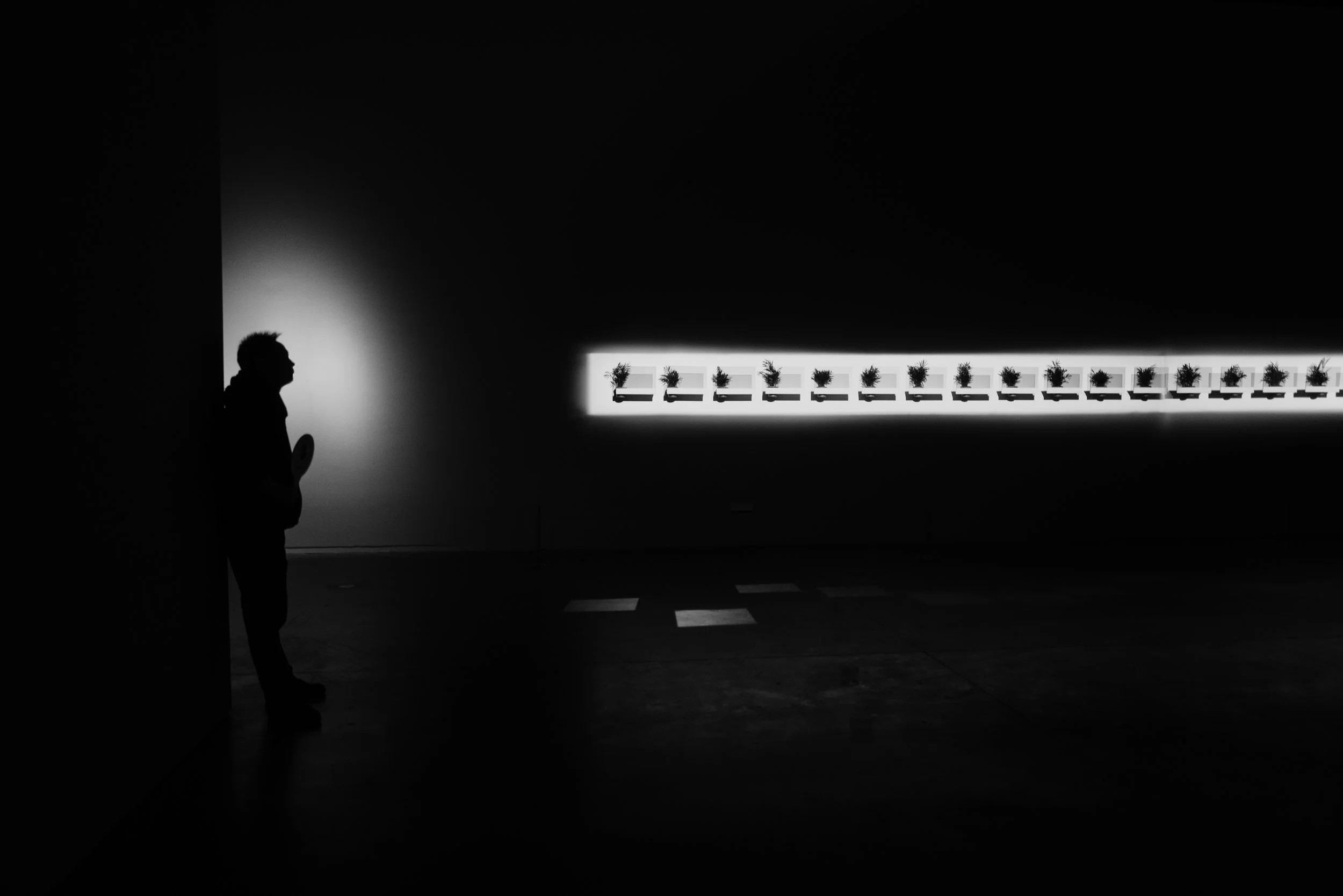 L1210296.jpg