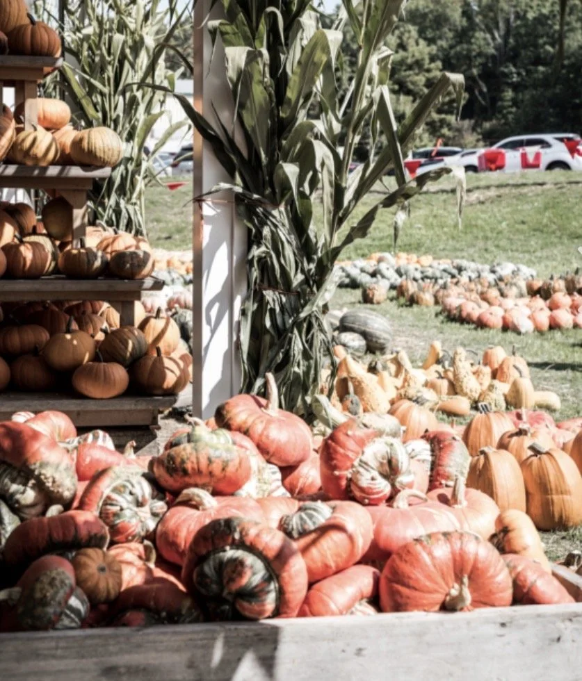 Fall Harvest Weekends at White House Fruit Farm