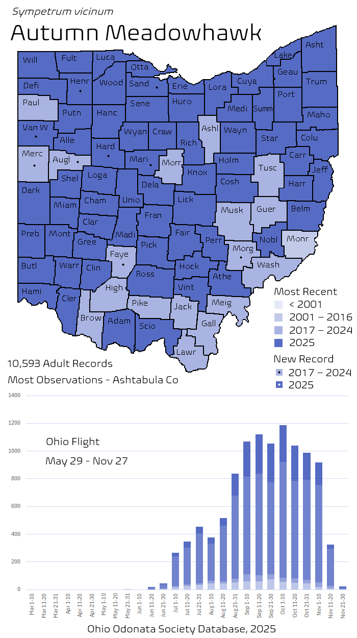 Autumn Meadowhawk.png