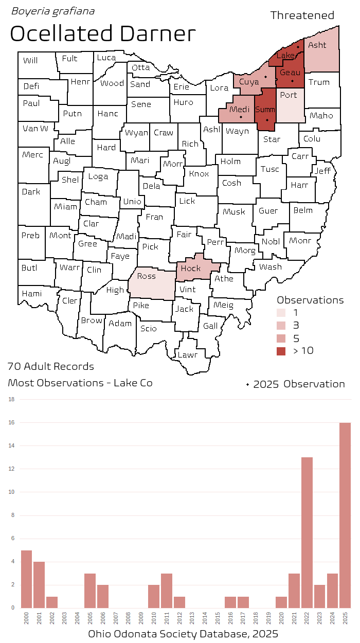 ocellated darner.png