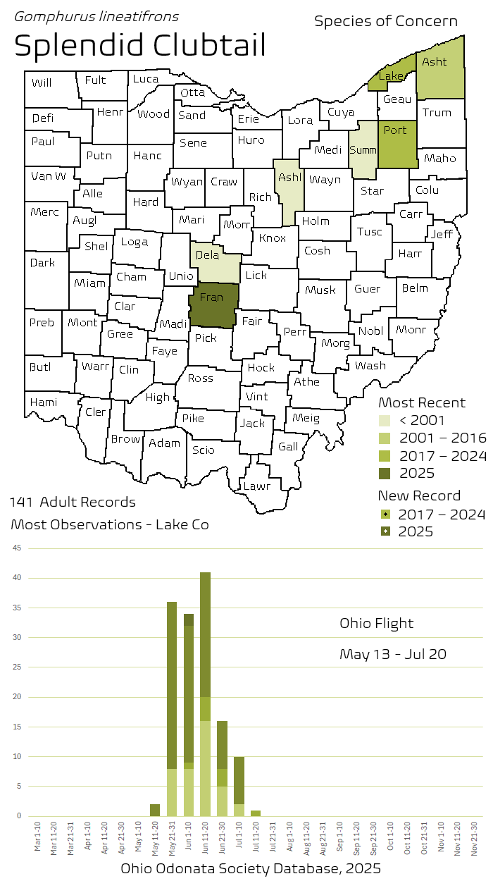 Splendid Clubtail.png