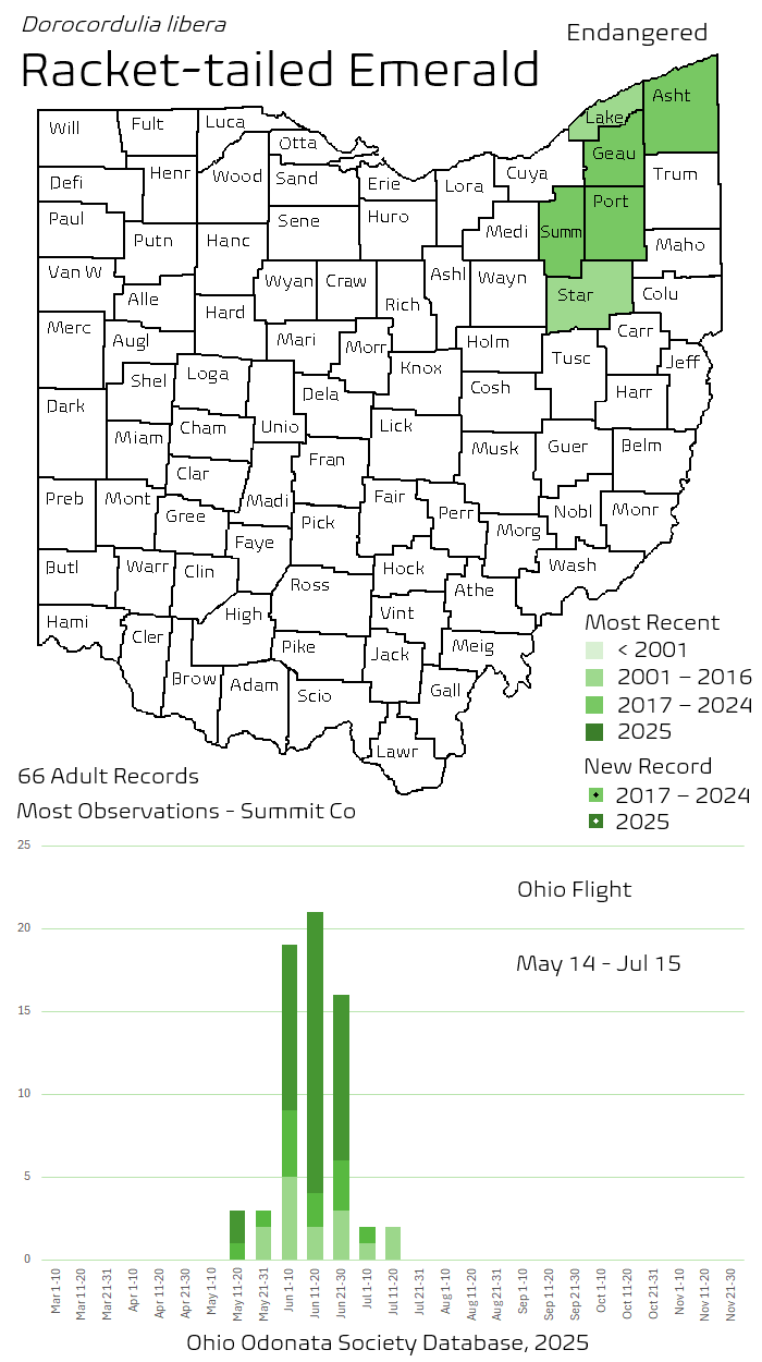 Racket-tailed Emerald.png