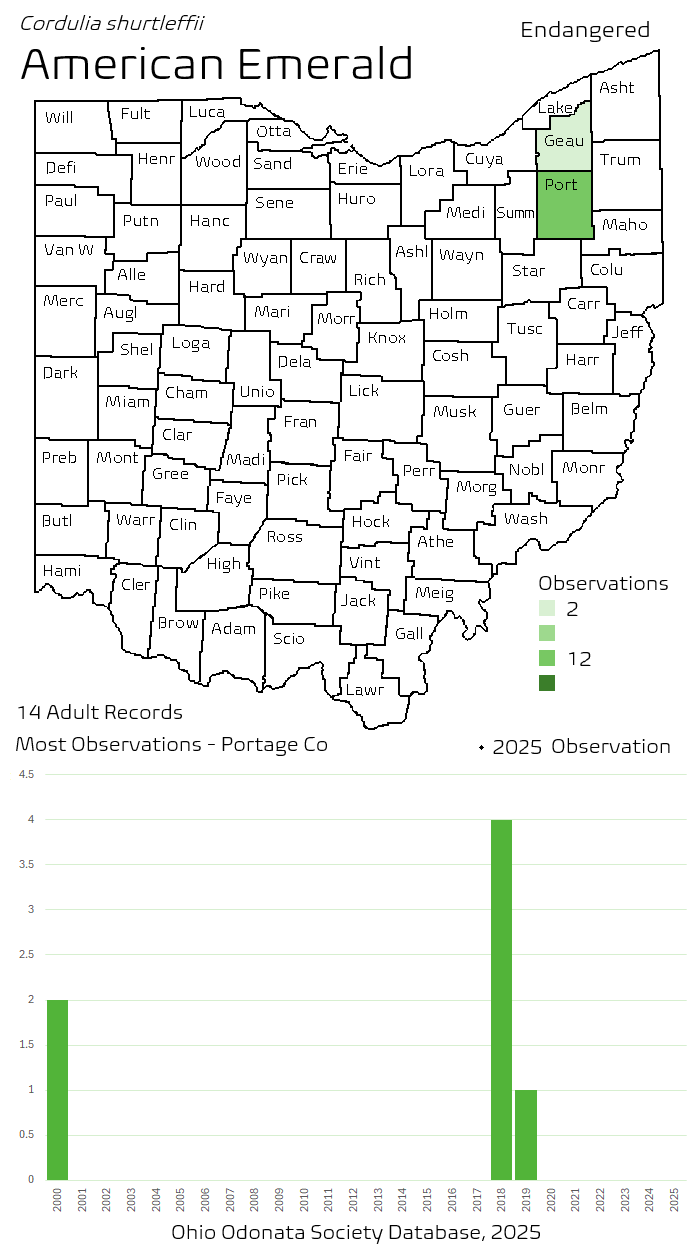 american emerald.png