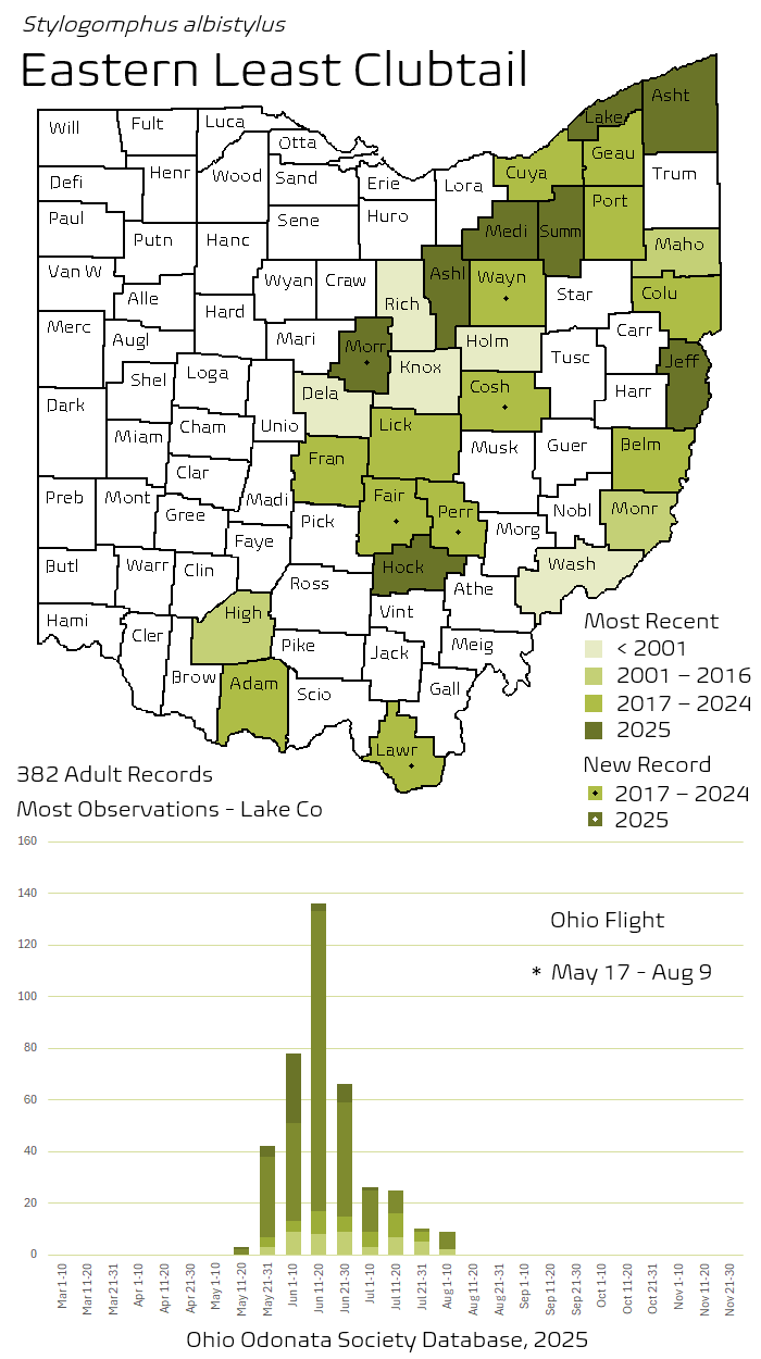 Eastern Least Clubtail.png