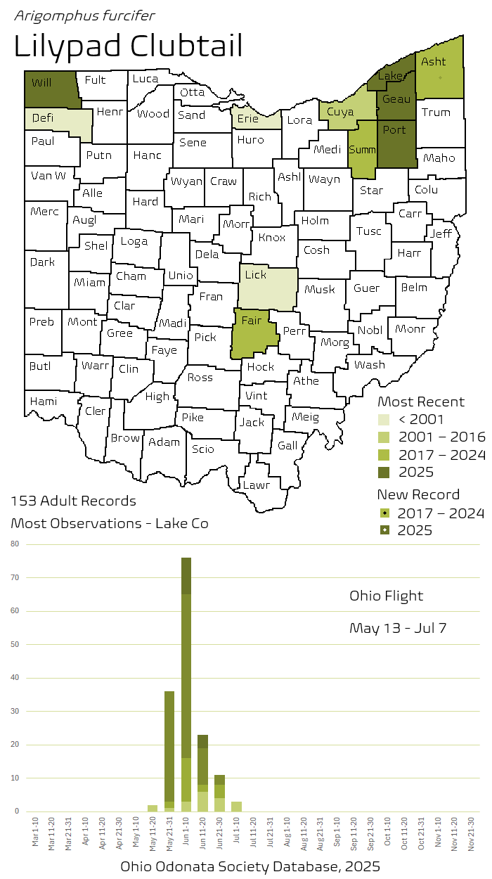 Lilypad Clubtail.png