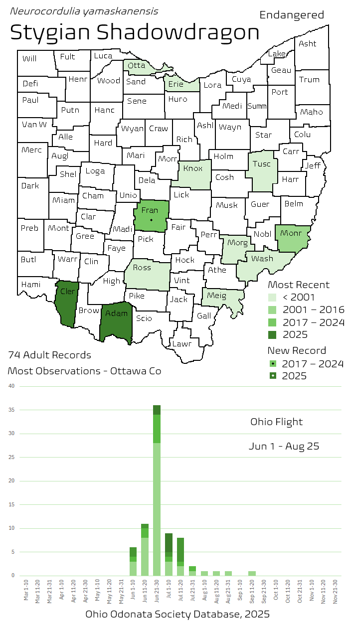 Stygian Shadowdragon.png