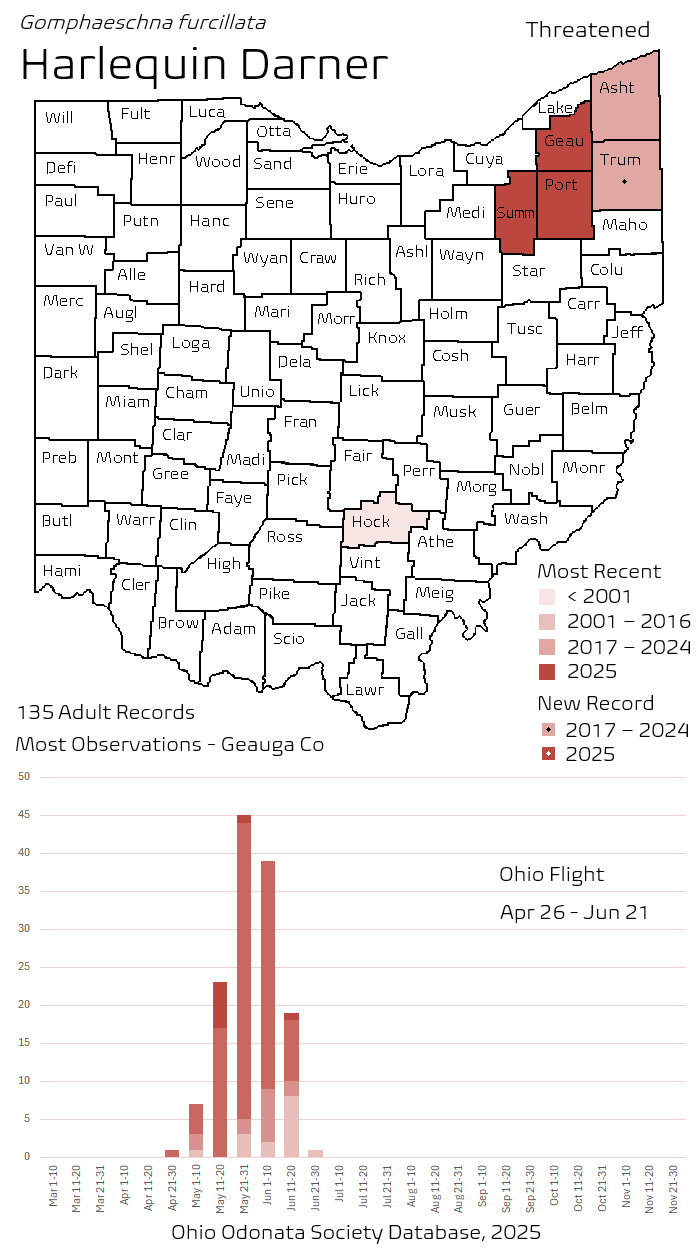 Harlequin Darner.png