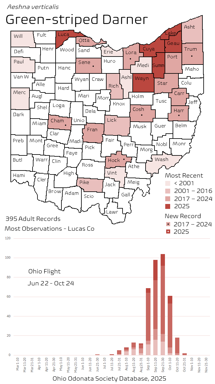 Green-striped Darner.png