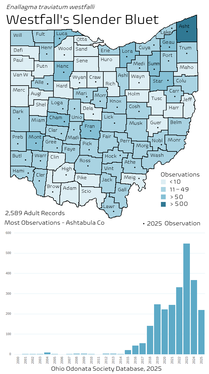 westfalls slender bluet.png