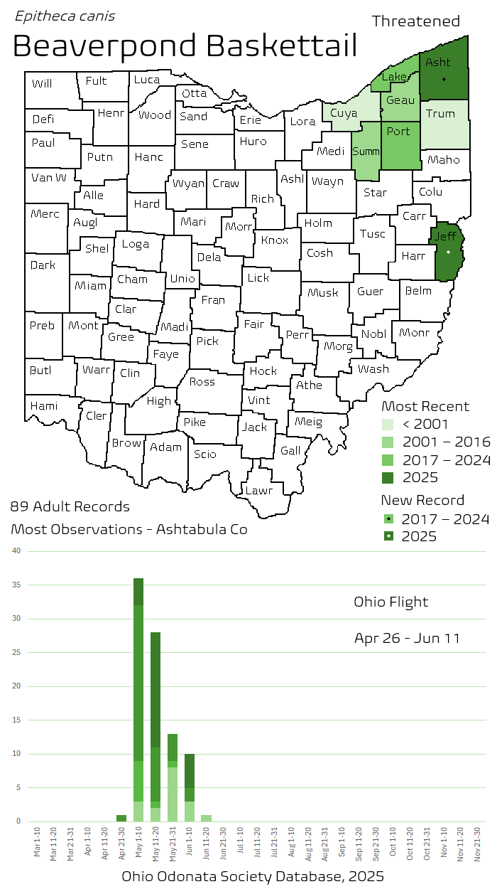 Beaverpond Baskettail.png