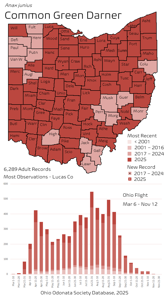 Common Green Darner.png
