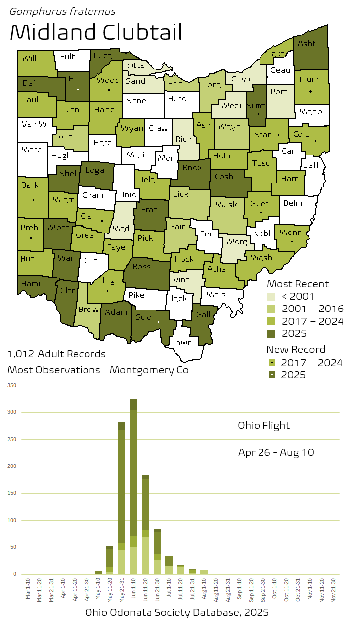 Midland Clubtail.png