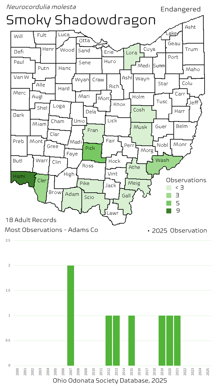 smoky shadowdragon.png