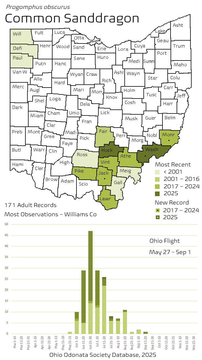 Common Sanddragon.png