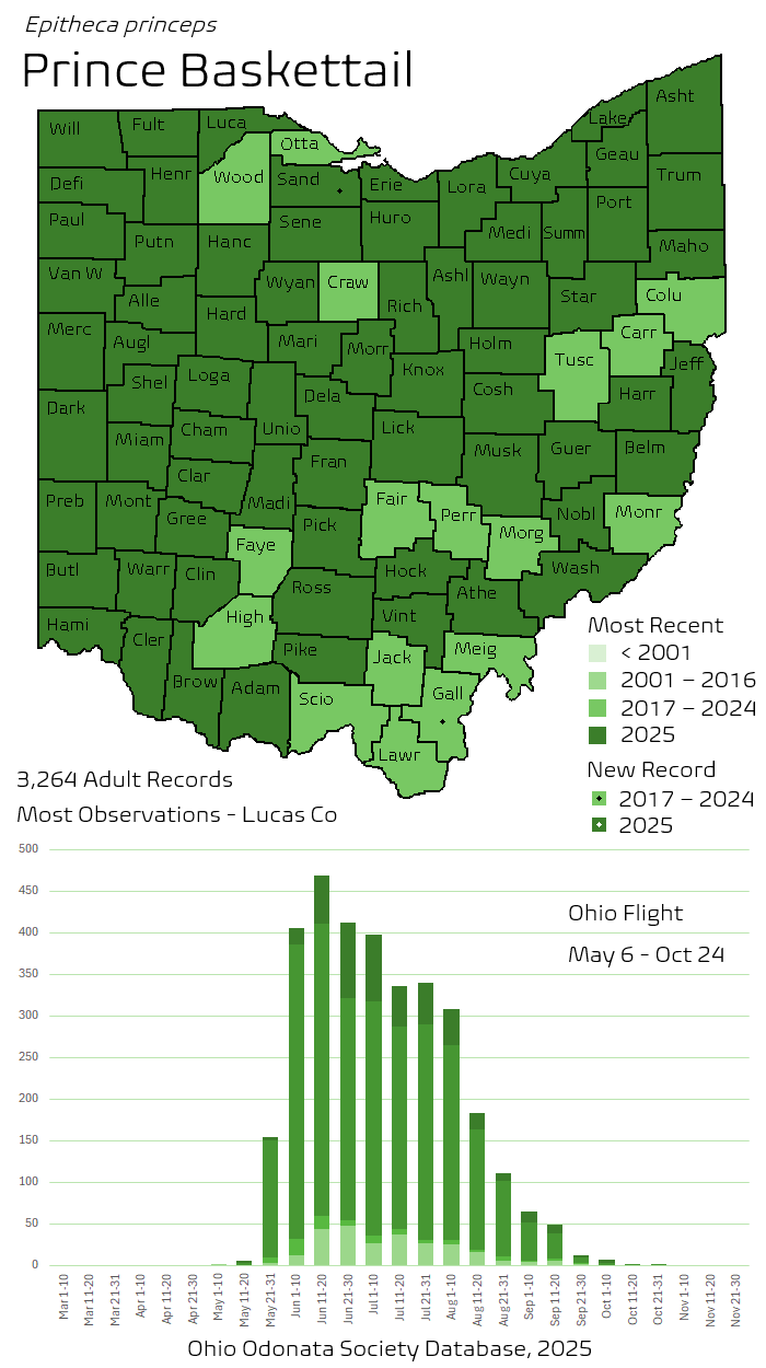 Prince Baskettail.png