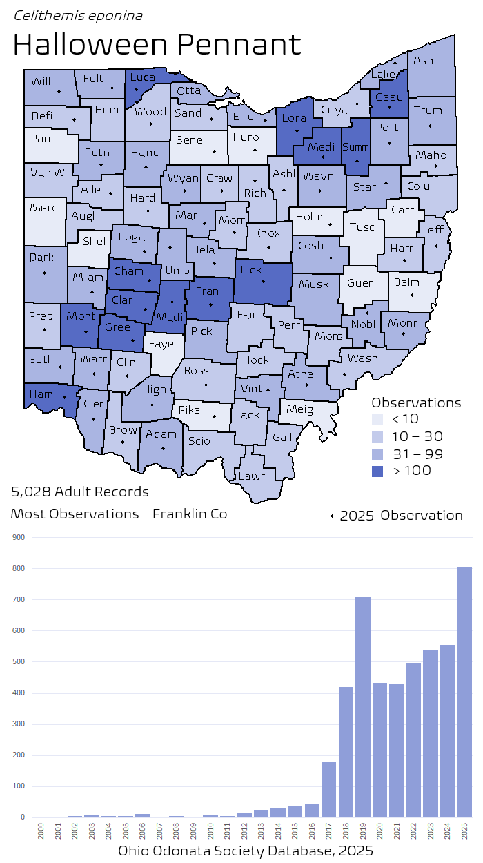 halloween pennant.png