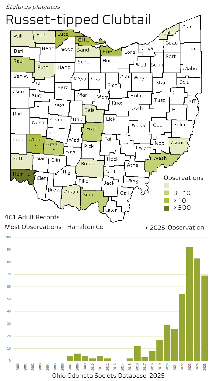 russet-tipped clubtail.png