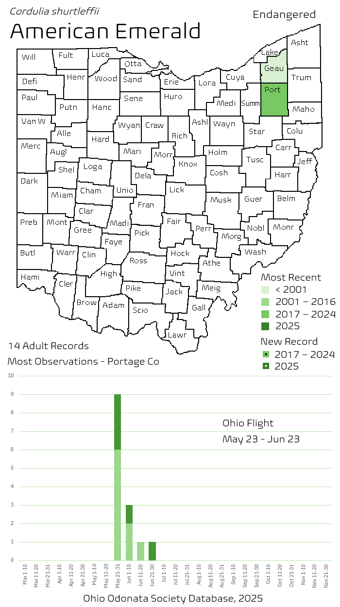 American Emerald.png