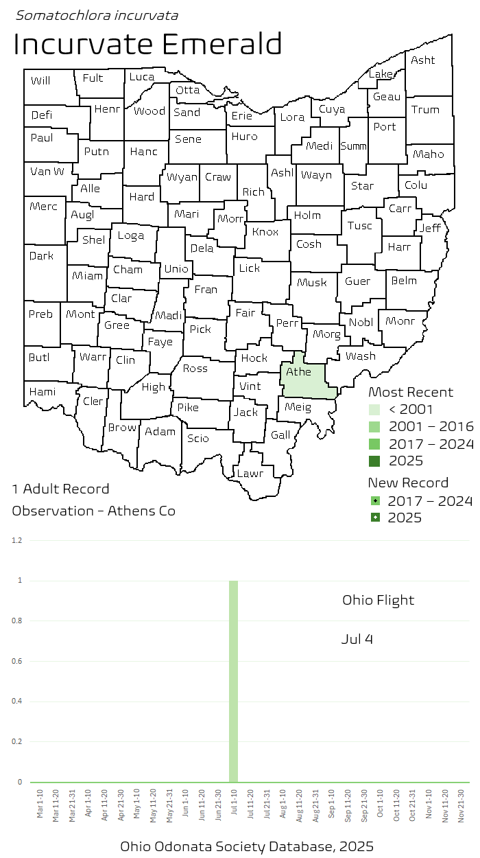 Incurvate Emerald.png