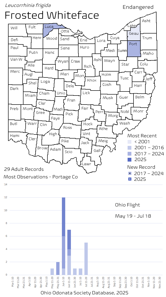 Frosted Whiteface.png