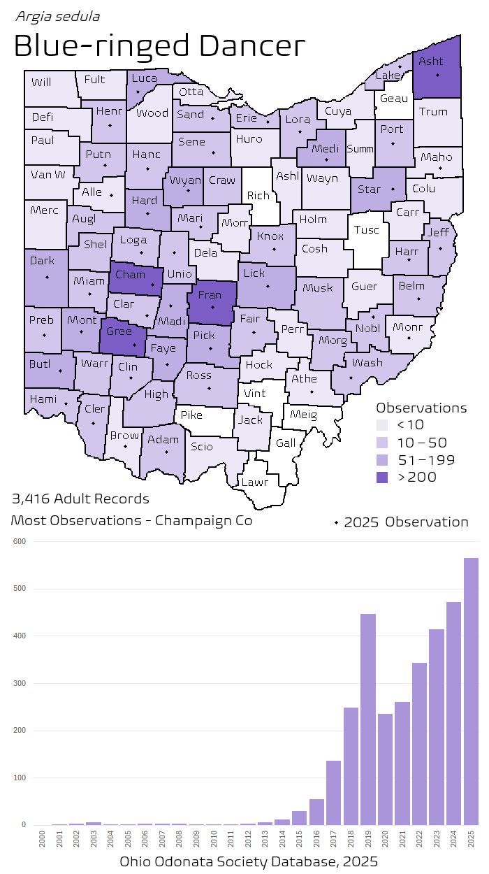 blue-ringed dancer.png