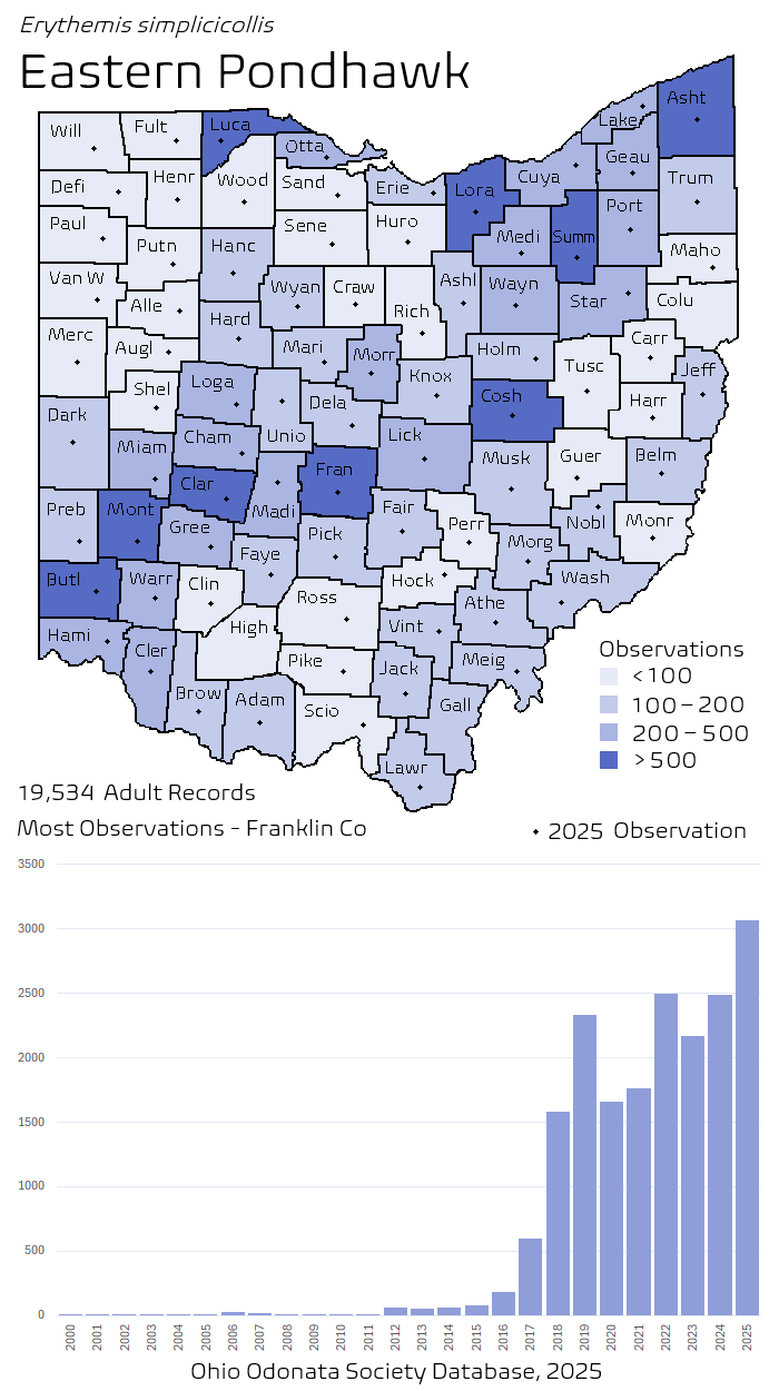 eastern pondhawk.png
