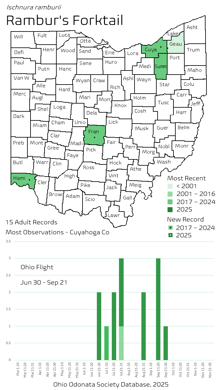 Ramburs Forktail.png