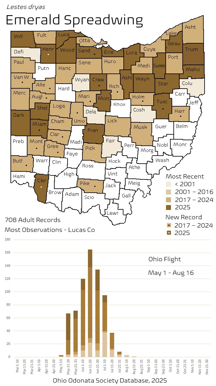 Emerald Spreadwing.png